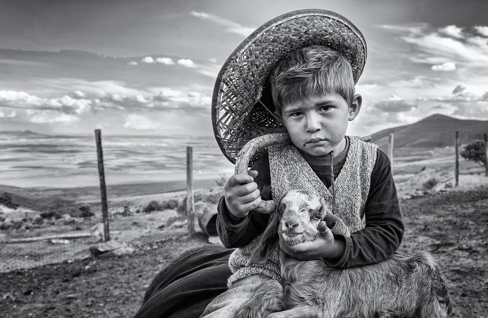 Young Boy With Goat by durmusceylan — canvas wall art