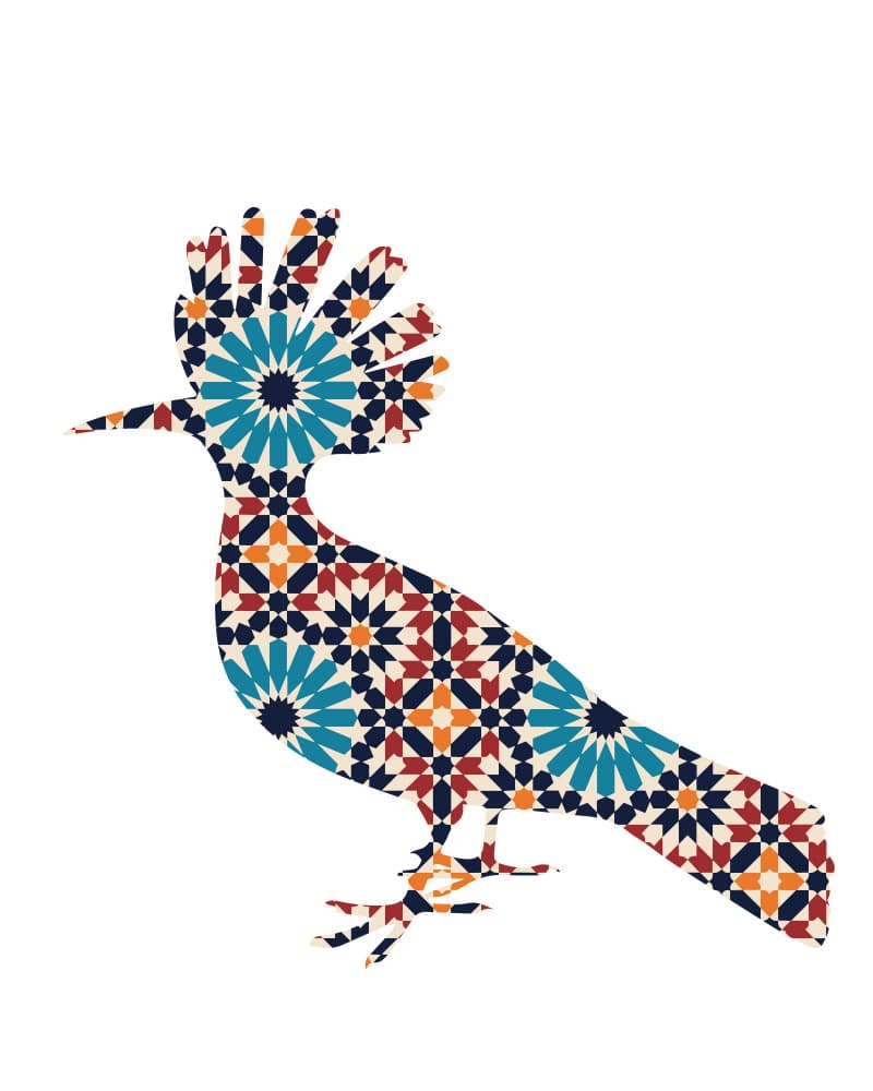 Geometric Hoopoe Bird by Emiliano Deificus — canvas wall art