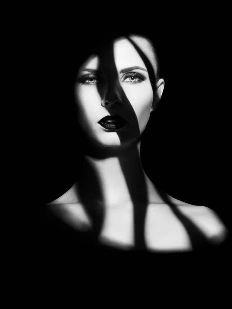 Dramatic Shadow Portrait by David Drake — canvas wall art