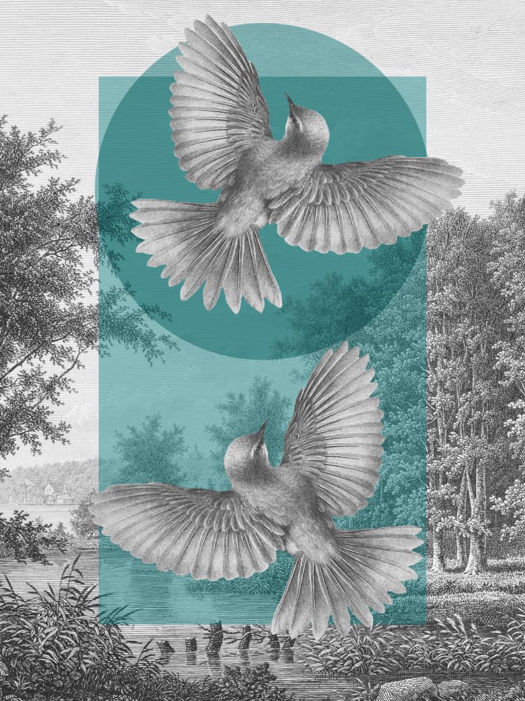 Birds Over Teal Waters by Marja van den Hurk — canvas wall art