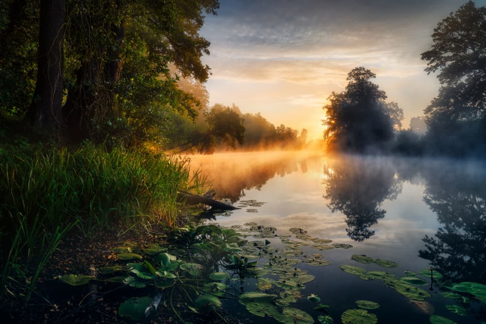 Misty River Morning by Pawel Kado — canvas wall art