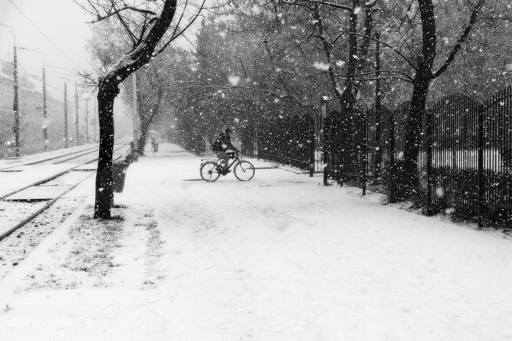 Winter Snow Bicycle Ride by Nicoleta Gabor — canvas wall art