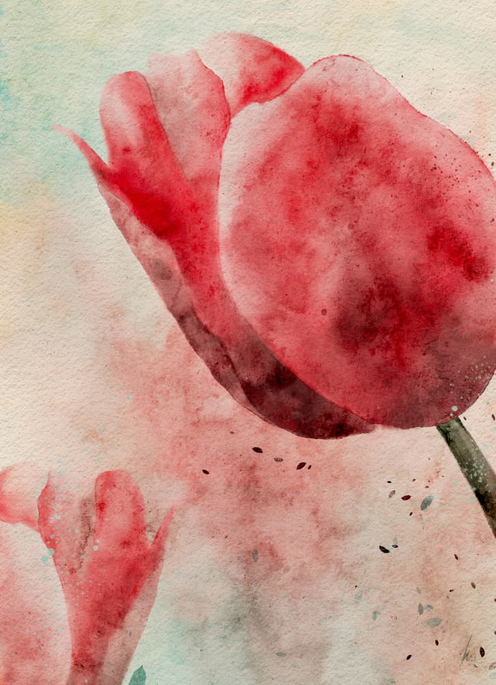 Vibrant Watercolor Tulips by Ankie Kooi — canvas wall art
