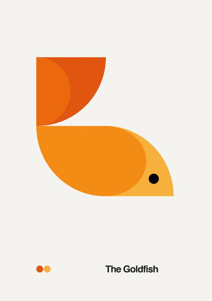 Modern Goldfish Design by David Vineïs — canvas wall art