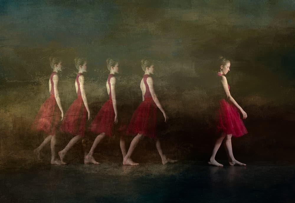 Graceful Red Dancer by Luc Stalmans — canvas wall art