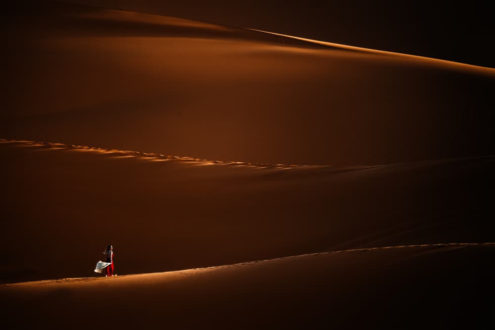 Golden Desert Path by Gina Buliga — canvas wall art