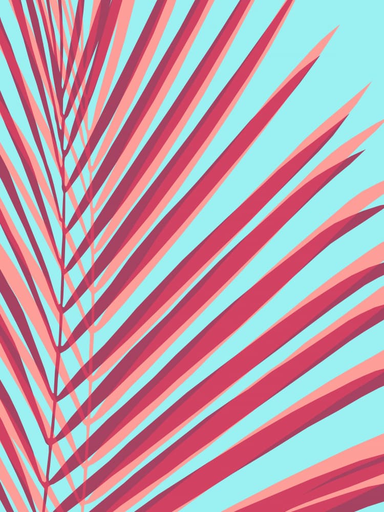 Pink Tropical Palm Leaves by Vitor Costa — canvas wall art