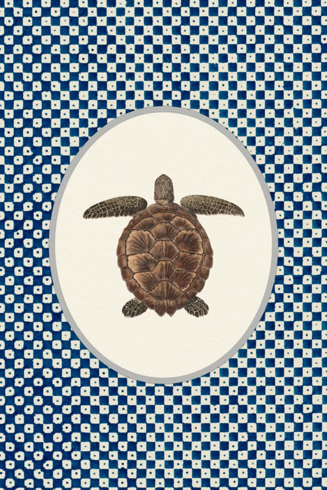 Shibori Sea Turtle by Wild Violets — canvas wall art
