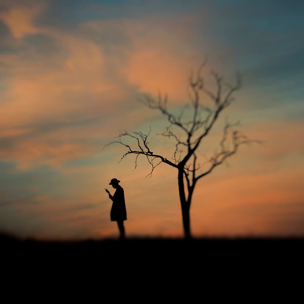 Solitary Sunset Silhouette by Ajie Alrasyid — canvas wall art