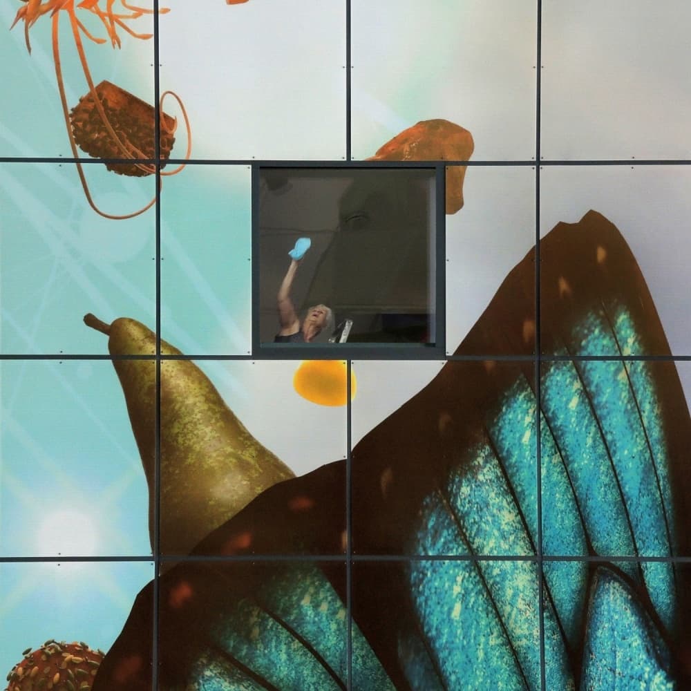 Waving Woman Butterfly Pear by Huib Limberg — canvas wall art