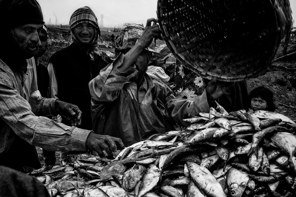 Bustling Fish Market by Joxe Inazio Kuesta Garmendia — canvas wall art