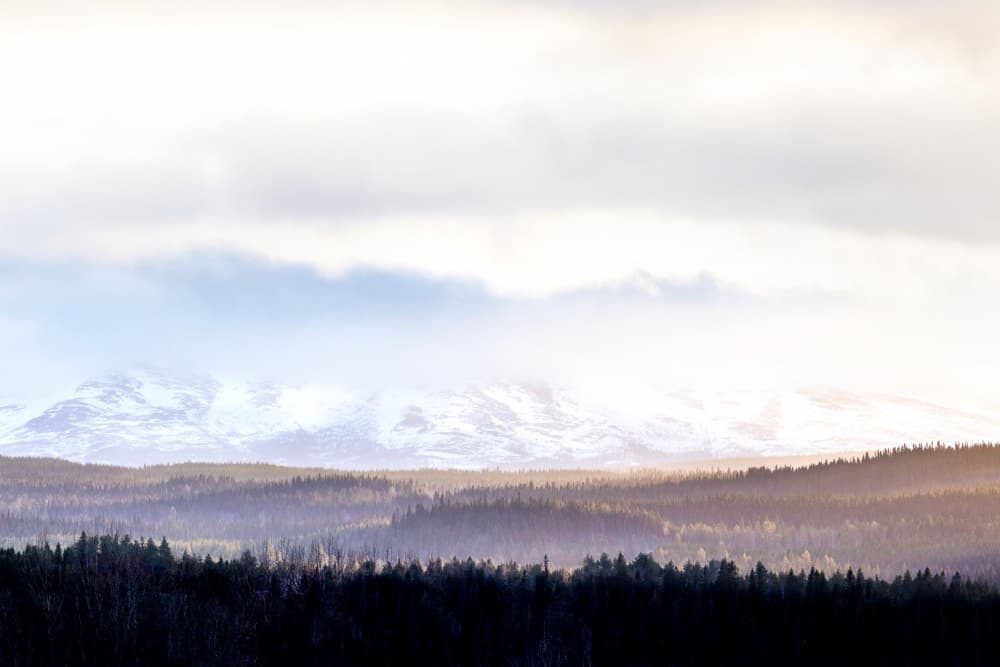 Misty Mountain Forest by EMELIEmaria — canvas wall art