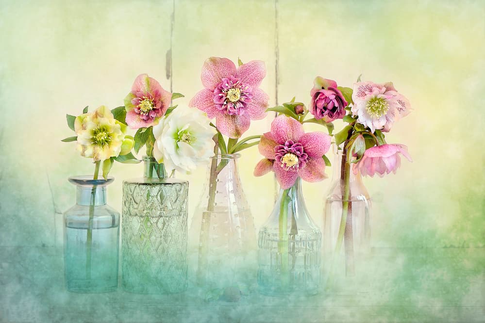Soft Spring Blooms by Jacky Parker — canvas wall art