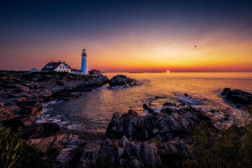 Lighthouse Coast Sunrise by Steven Zhou — canvas wall art