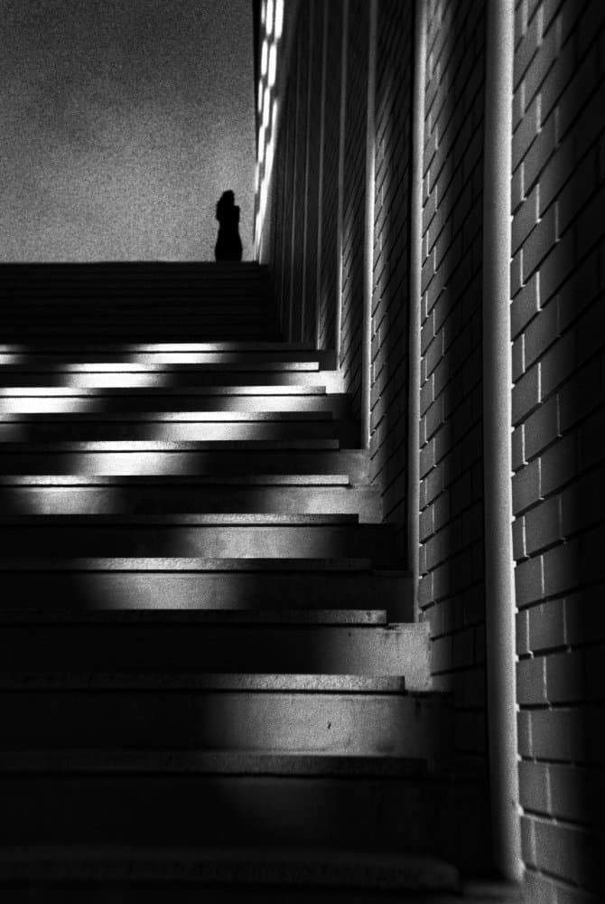 Dramatic Staircase Ascent by Paulo Abrantes — canvas wall art