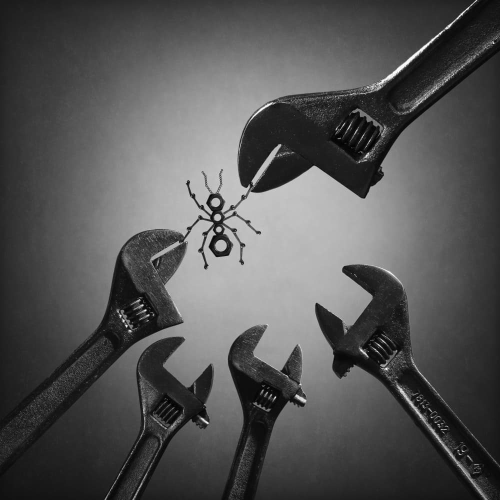 Giant Wrenches Small Ant by Victoria Glinka — canvas wall art
