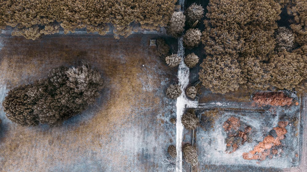 Frosty Aerial Forest by Carmine Chiriacò — canvas wall art