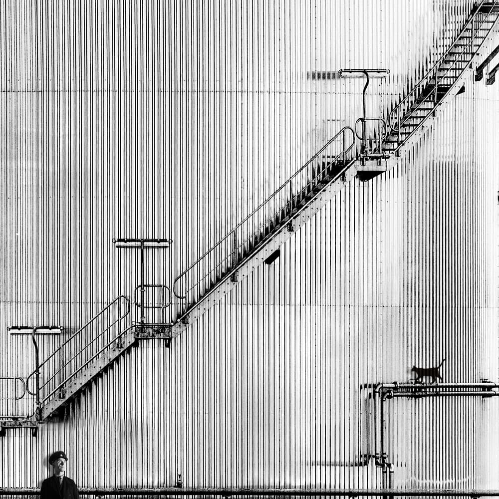Industrial Stairs Black Cat by Piet Flour — canvas wall art