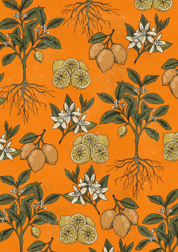 Botanical Lemon Harvest by Nicholas — canvas wall art