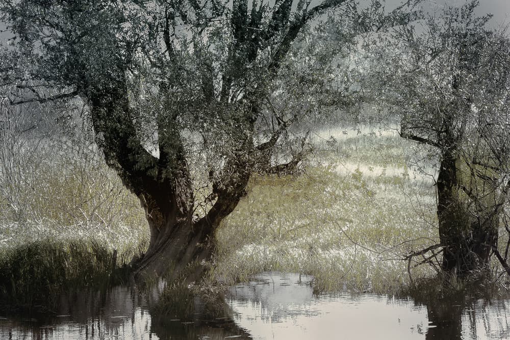 On the water side by Nel Talen — canvas wall art