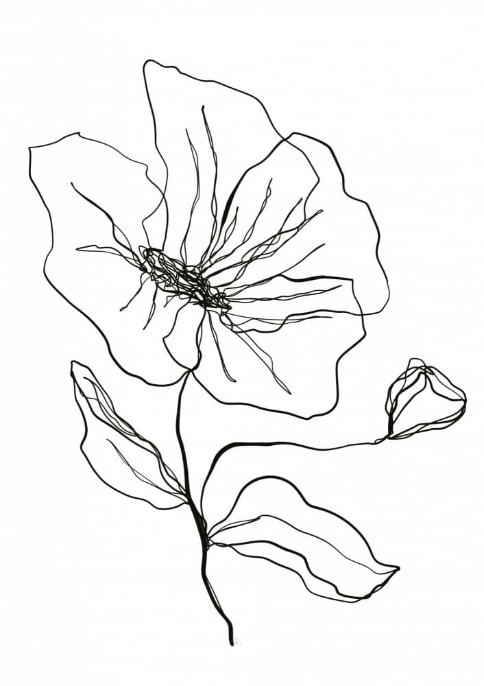 Delicate Flower Sketch by Ankie Kooi — canvas wall art