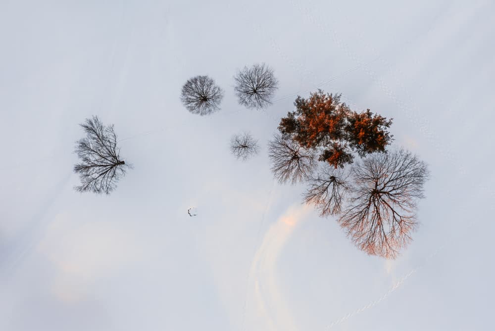 Golden Winter Landscape by Wei (David) Dai — canvas wall art