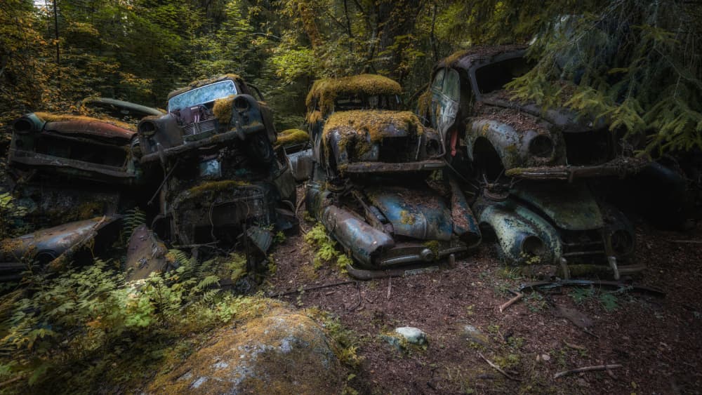Forgotten Forest Cars by Benny Pettersson — canvas wall art