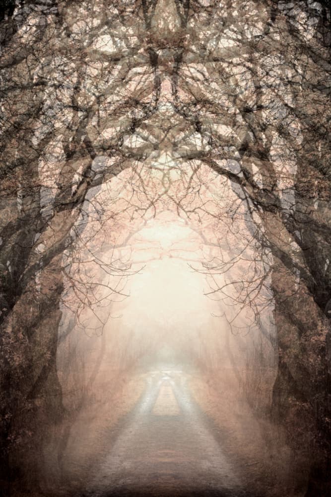 Misty Path To Light by Christina Sillen — canvas wall art