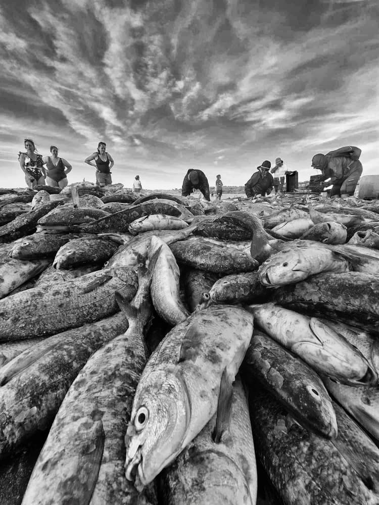 Beach Fishing Haul by Josefina Melo — canvas wall art