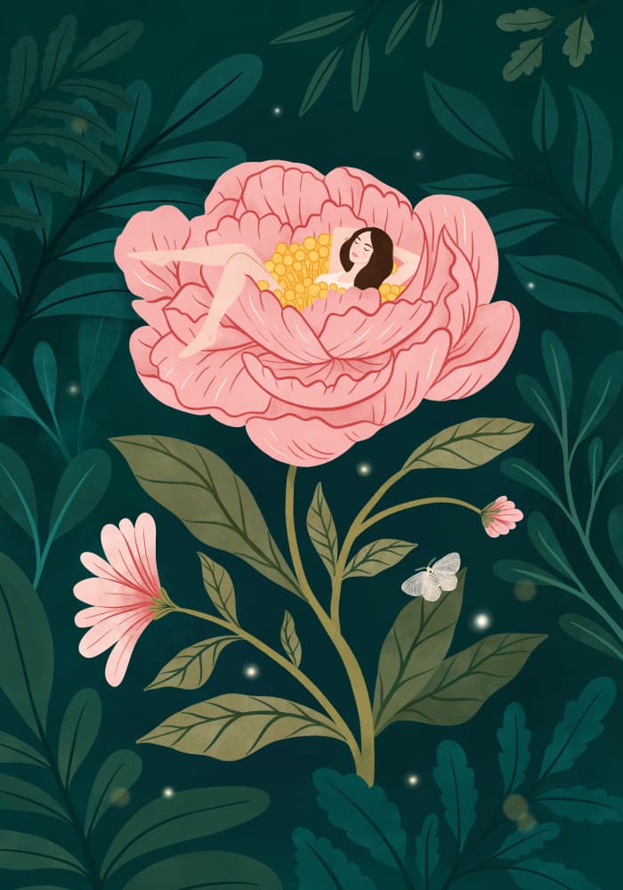 Pink Peony Dream by Petra Holíková — canvas wall art