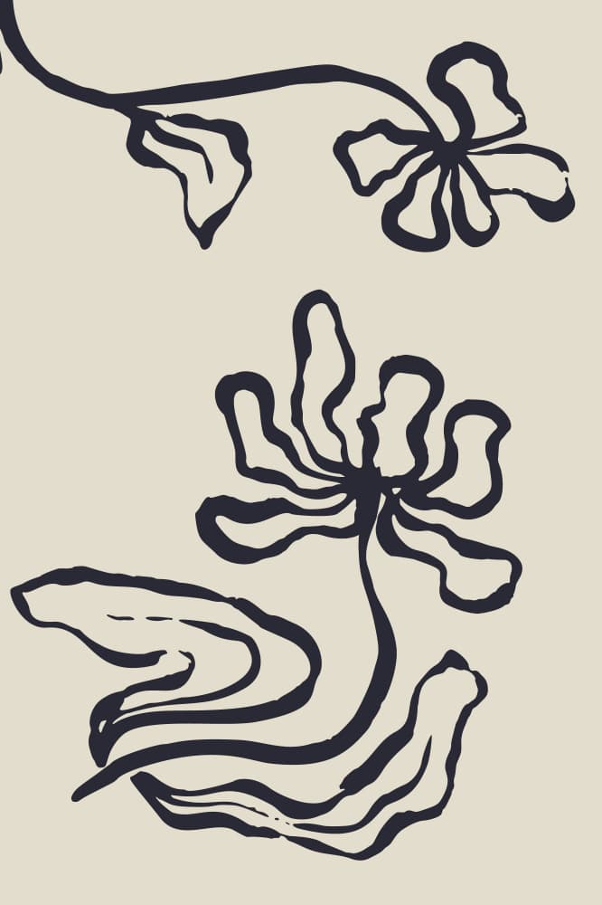 Elegant Botanical Lines by Anna Rose — canvas wall art