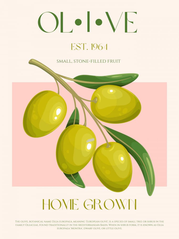 Fresh Green Olive Branch by Nazma Khokhar — canvas wall art