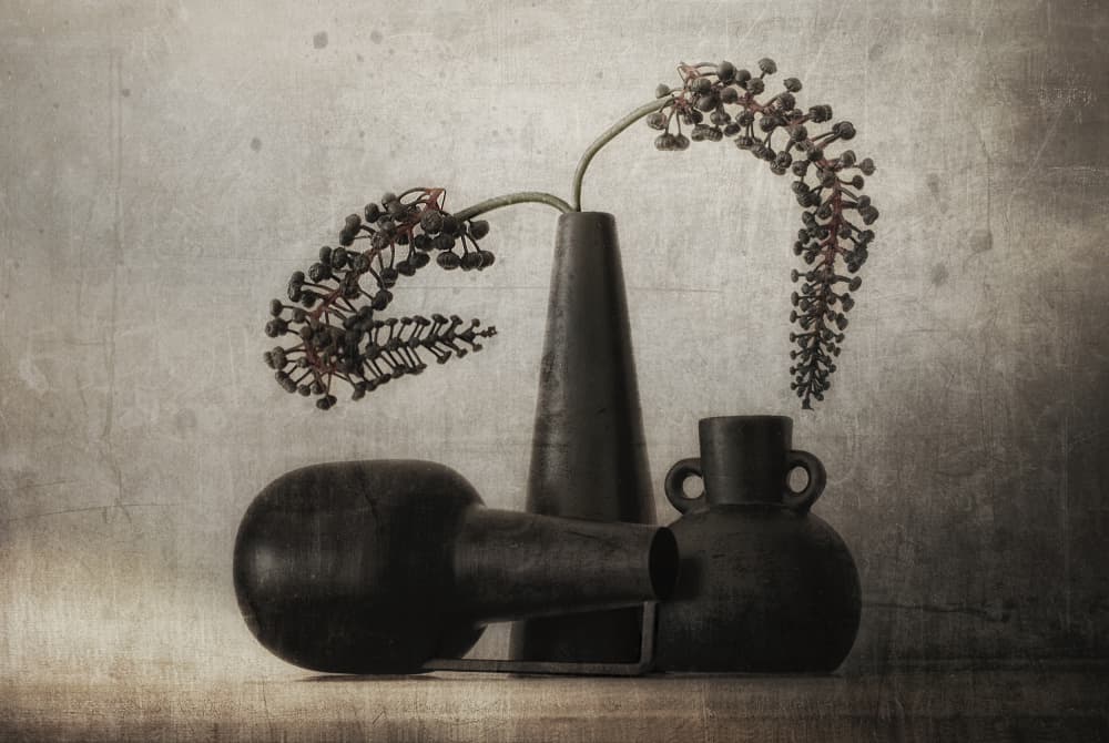 Dark Berry Still Life by Elena Arjona — canvas wall art