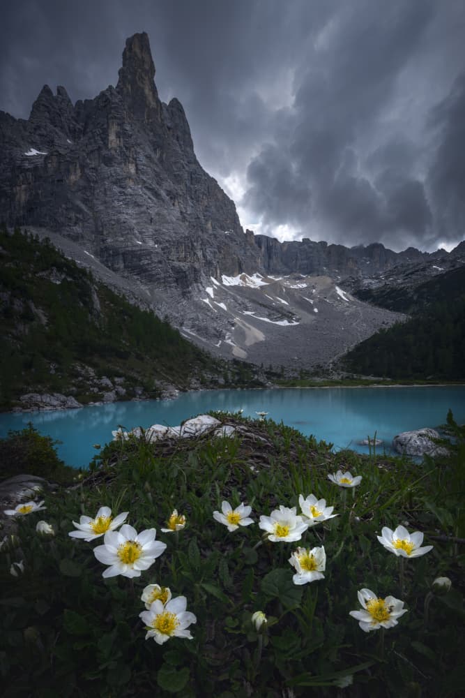 Moody Mountain Lake Flowers by Sergio Saavedra Ruiz — canvas wall art