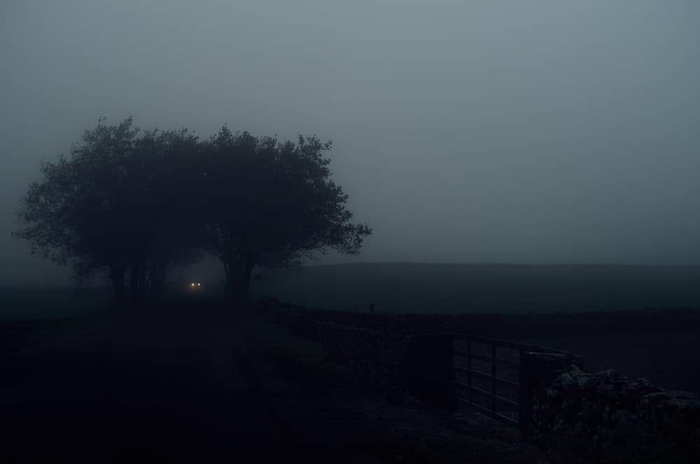 Misty Road Headlights by Rui Caria — canvas wall art