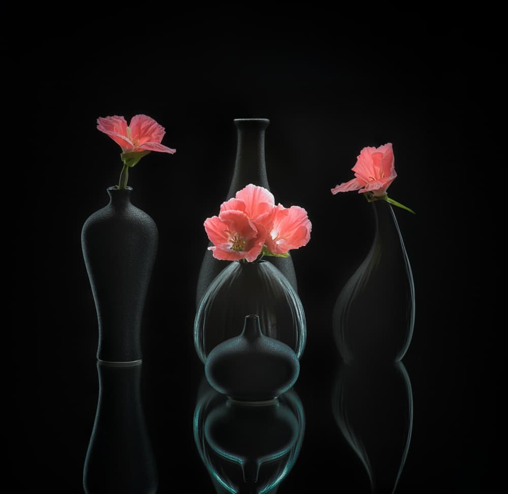 still life 45 by Alice Sheng — canvas wall art