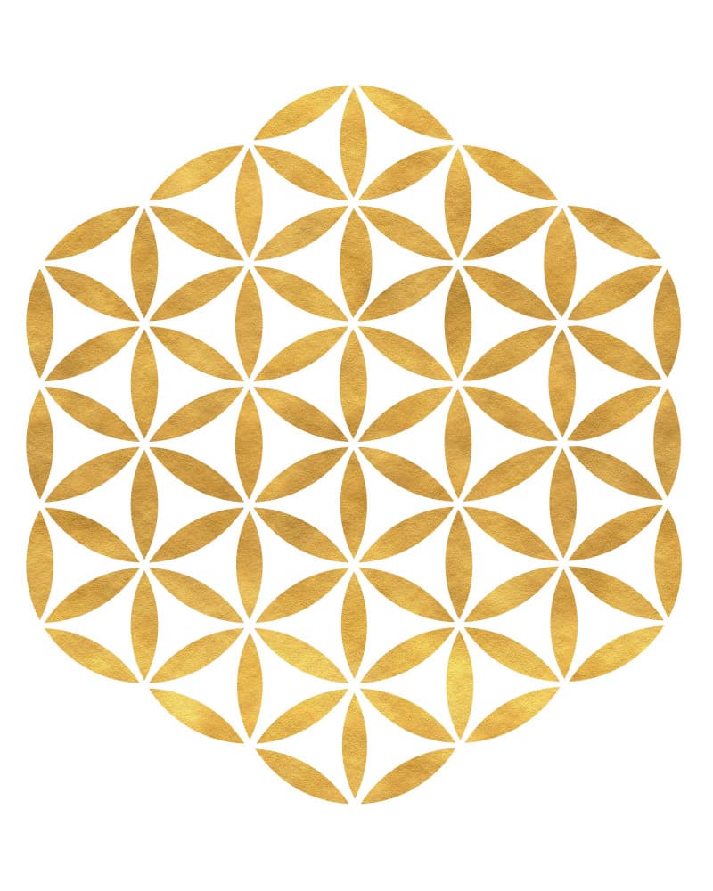 Golden Flower of Life by Emiliano Deificus — canvas wall art