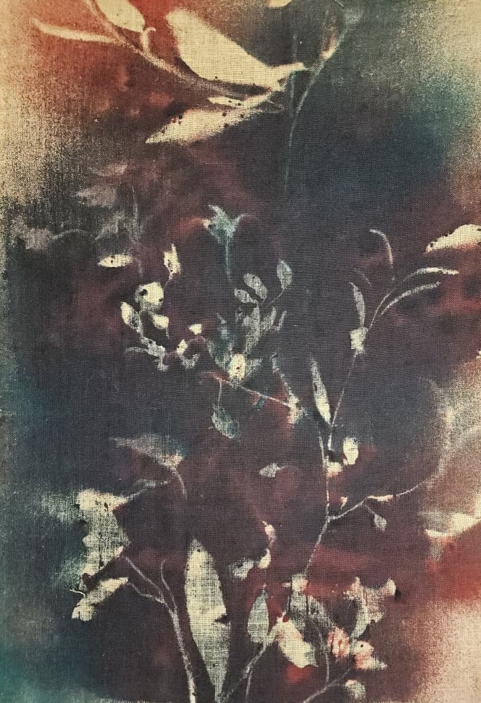 Moody Botanical Branches by Stefano Mazzolini — canvas wall art