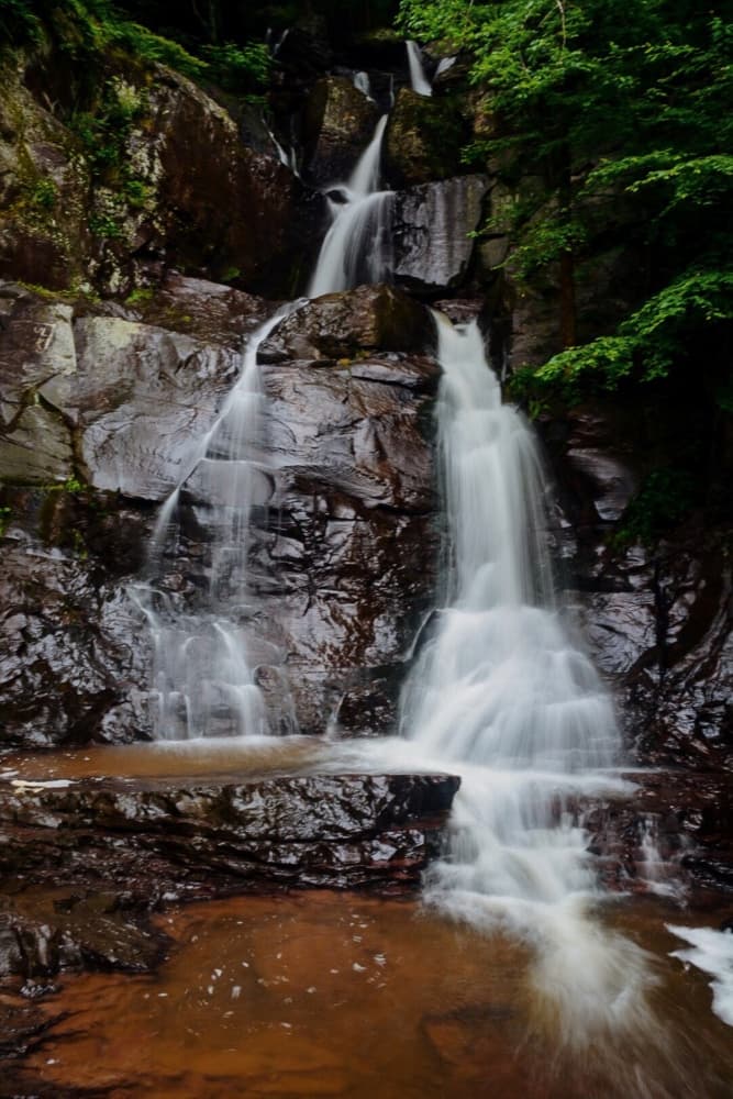 Tranquil Forest Falls by Del Mundo Imagery — canvas wall art