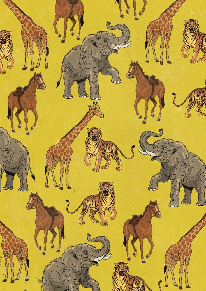 Safari Animal Pattern by Nicholas — canvas wall art