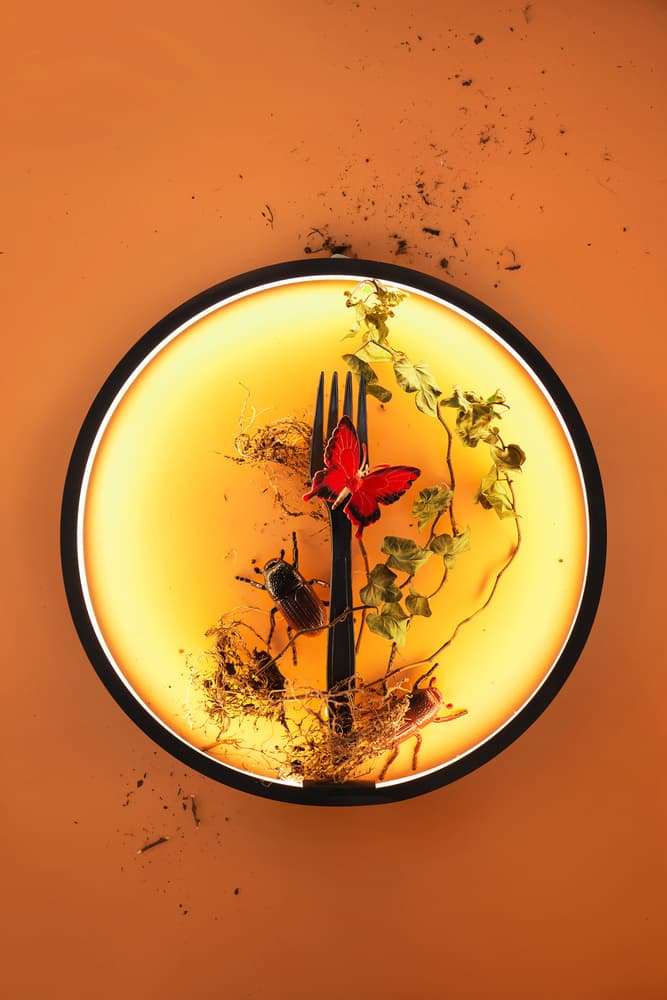Nature's Surreal Meal by Dina Belenko — canvas wall art
