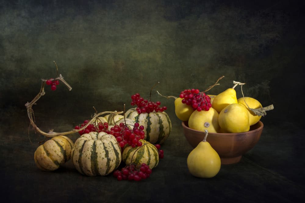 Harvest Gourds and Berries by Brig Barkow — canvas wall art