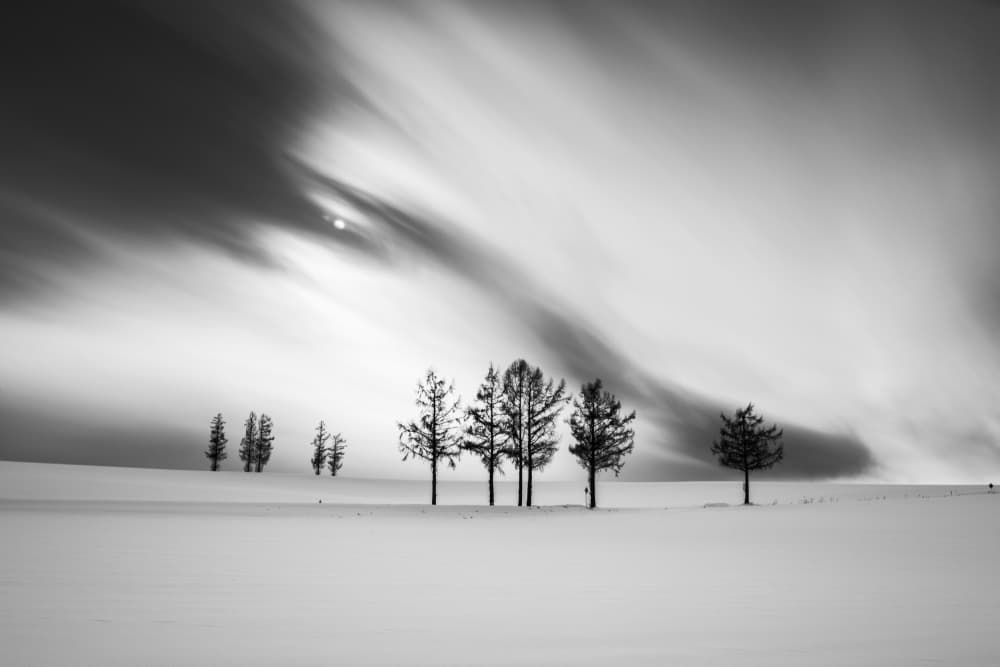 Dramatic Winter Landscape by E.L The — canvas wall art