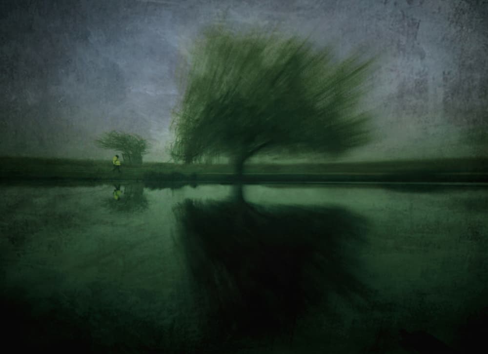 Dreamy Lakeside Solitude by Robert Fabrowski — canvas wall art