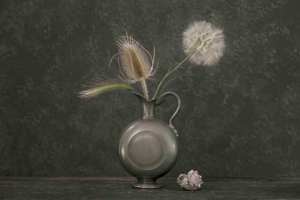 Dried Botanicals Still Life by Alida van Zaane — canvas wall art