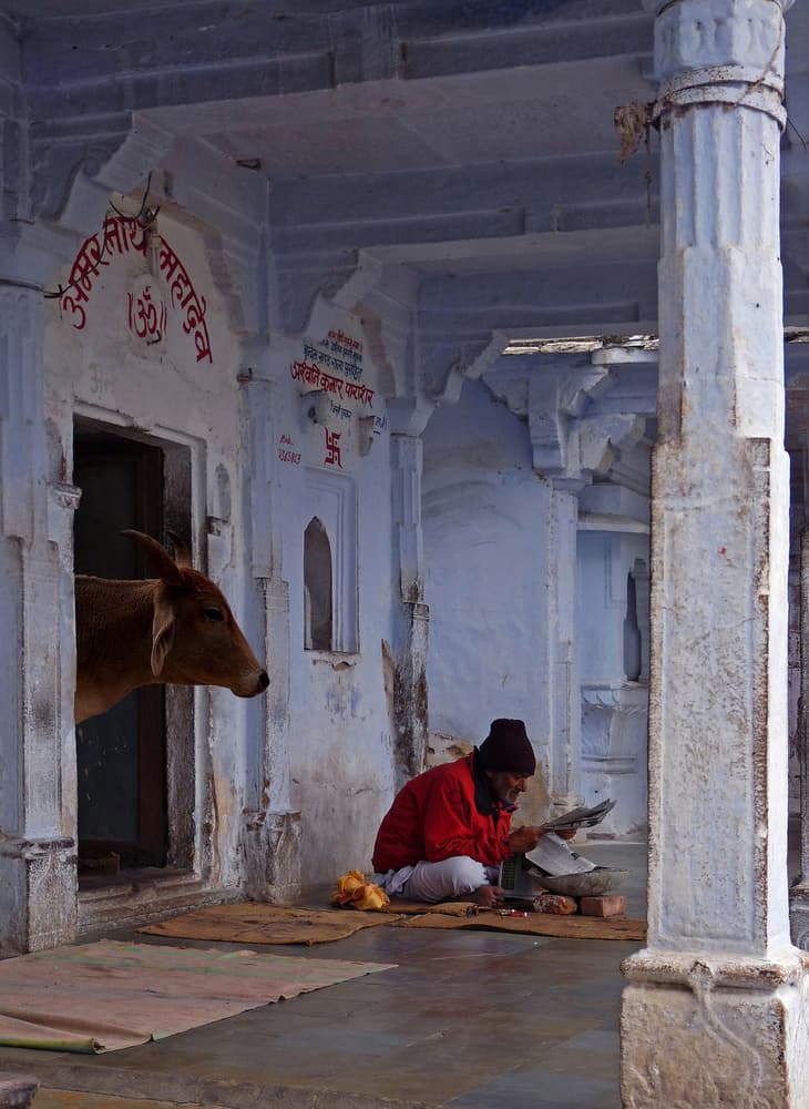 Temple Life in India by Giorgio Pizzocaro — canvas wall art
