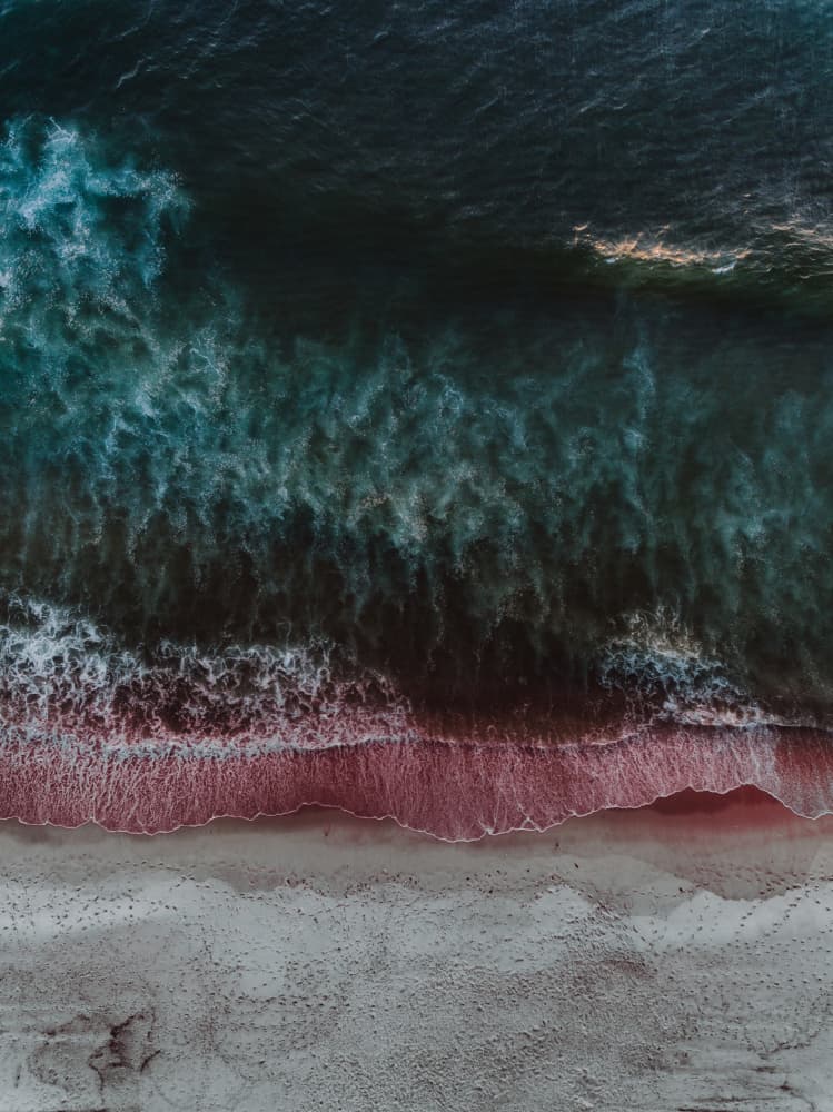 Pink Beach Ocean View by Javier Pardina — canvas wall art