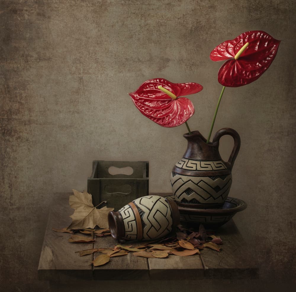 Rustic Anthurium Still Life by Margareth Perfoncio — canvas wall art