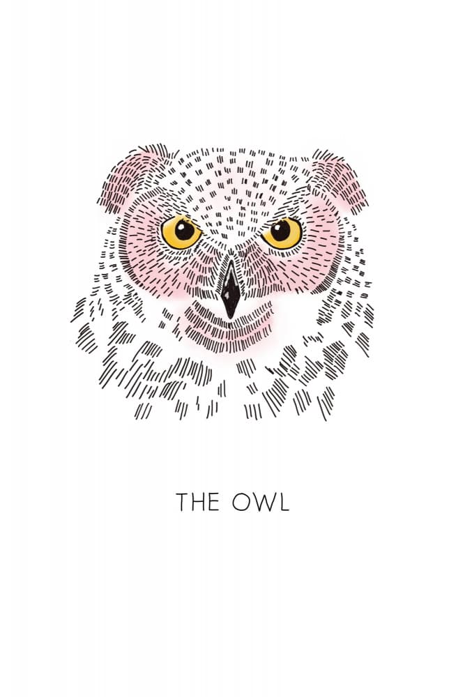 Pink Owl Sketch by Alexandra Weise — canvas wall art