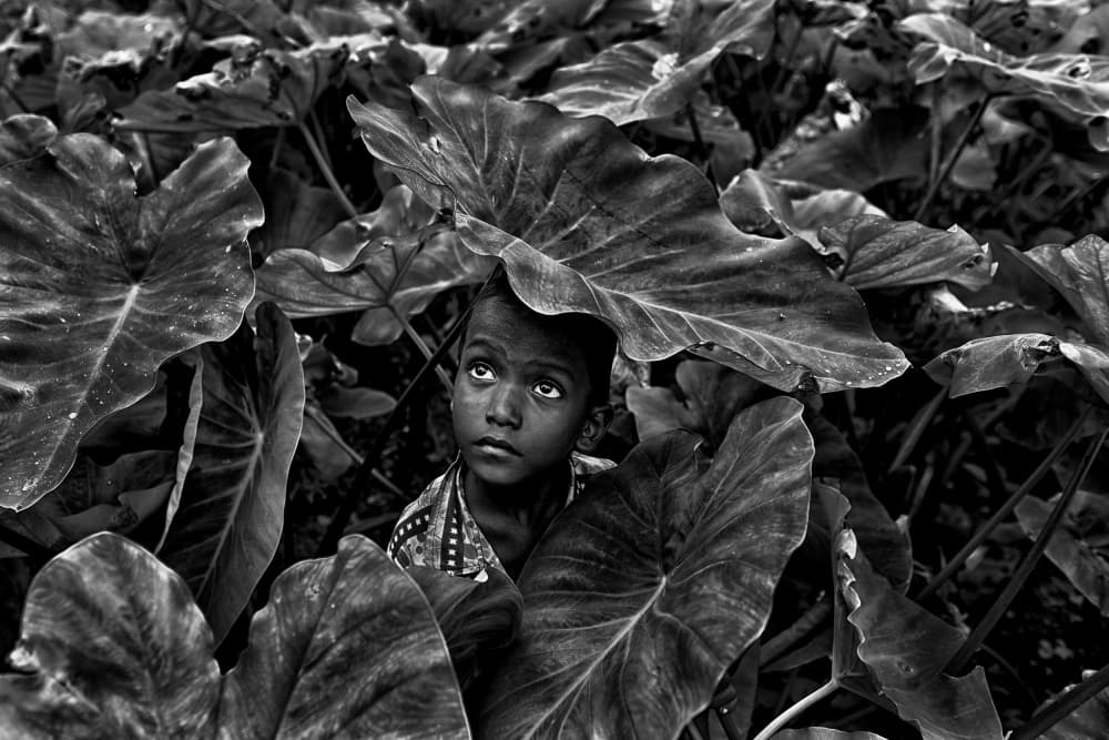 Child's Upward Gaze by Avishek Das — canvas wall art